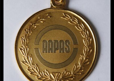 Medalla 10º Concurso de Artes Plásticas. Año 2014. AAPAS – Asociación Argentina de Productores Asesores de Seguros.
