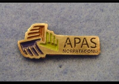 Prendedor de APAS Norpatagonia – Asociación de Productores Asesores de Seguros de la Norpatagonia.