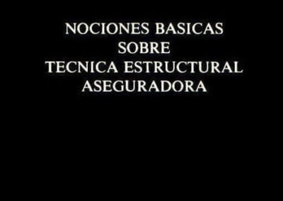 Nociones Básicas sobre Técnica Estructural Aseguradora. Emilio F. Nucifora.