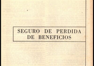 Resumen del Seminario Seguro de Pérdida de Beneficios. Helvetia Argentina Sociedad Anónima de Seguros.