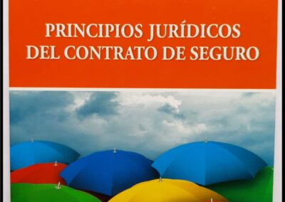 Principios Jurídicos del Contrato de Seguro. Mauricio S. Gravina.