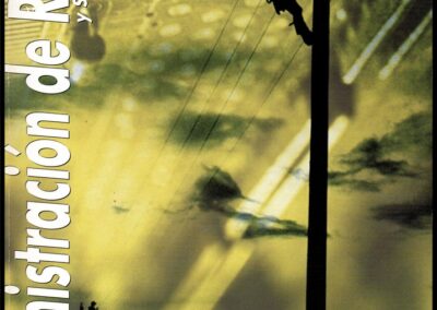 Administración de Riesgos y Seguros. Año 3 – Nº 20.