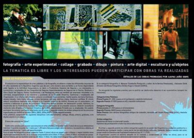 Afiche Quinto Concurso Nacional Artes Plásticas y Fotografía. 2009. Comisión de Arte y Cultura. AAPAS – Asociación Argentina de Productores Asesores de Seguros.