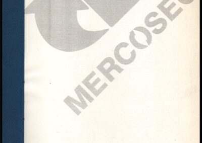 Informe Simetrías y Asimetrías en la Legislación de los Países de la Región respecto a la Actividad Profesional de Asesoramiento en Seguros. MERCOSEG – Club de Federaciones y Asociaciones de Productores Asesores de Seguros del Mercosur.