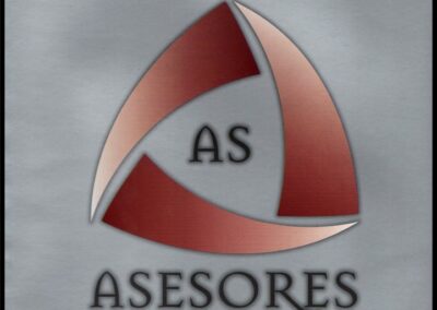 Seguros. Año XXXIII – Nº 241 – 2000. AAPAS – Asociación Argentina de Productores Asesores de Seguros.