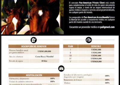 Folleto de Cobertura «Acceso Mundial» por Hospitalización de Pan-American Life Insurance de Costa Rica, S. A. (Costa Rica).