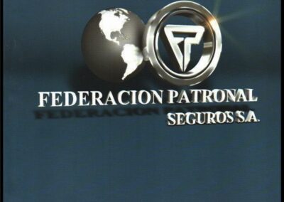 Memoria y Estados Contables. Ejercicios Nº 83 – 84 – 86 y 87. Años 2005 al 2010. Federación Patronal Seguros S. A.