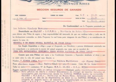 Póliza Sección Seguros de Ganado. 23 de Septiebre de 1922. La Anglo Argentina Sociedad Anónima Compañía de Seguros.
