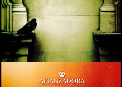 Memoria y Balance al 30 de Junio de 2011. Afianzadora Latinoamericana Compañía de Seguros S. A.