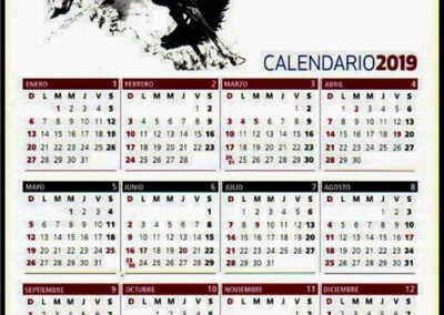 Calendario de escritorio Año 2019. Grupo Sancor Seguros.
