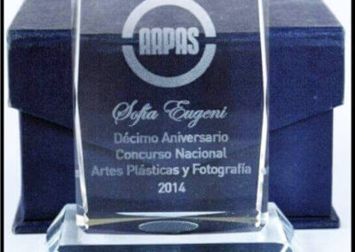 Placa 10º Aniversario Concurso de Artes Plásticas y Fotografía. Año 2014. AAPAS – Asociación Argentina de Productores Asesores de Seguros.
