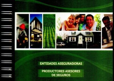 SEGUGUÍA. 2013. Guía Nacional del Seguro.