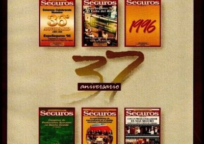 Seguros. 37 Aniversario. Año XXXII – Nº 228 – 1996. AAPAS – Asociación Argentina de Productores Asesores de Seguros.