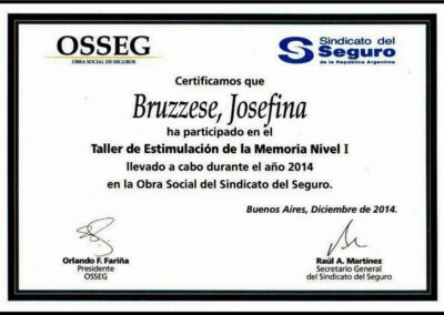 Taller de Estimulación de la Memoria Nivel 1. Certificado. Diciembre de 2014. Sindicato del Seguro de la República Argentina.