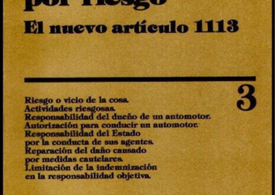 Responsabilidad por Riesgo. El Nuevo Artículo 1113. Matilde Zavala de Gonzalez. Año 1987.