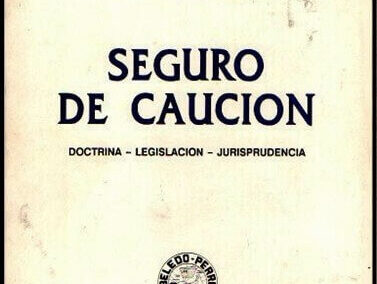 Seguro de Caución. Julio Bachiller Nuñez – Sergio Bachiller – Julia Pérez Etchegoyen. 05 de Mayo de 1995.