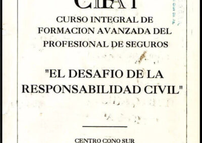 «El Desafío de la Responsabilidad Civil». CIFA I. Curso Integral de Formación Avanzada del Profesional de Seguros. 21 al 25 de Noviembre de 1994.